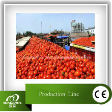 Línea completa de maquinaria de procesamiento de pasta de tomate